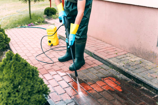 Best House Pressure Washing  in Long Creek, IL