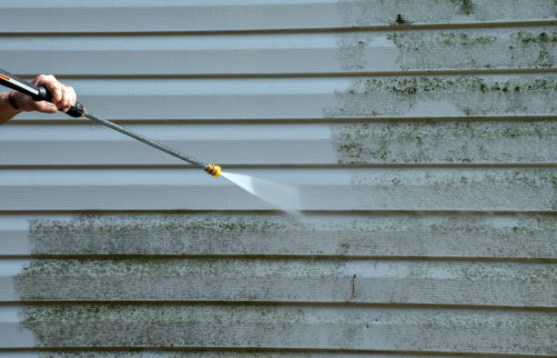 Best Roof Power Washing Services  in Long Creek, IL