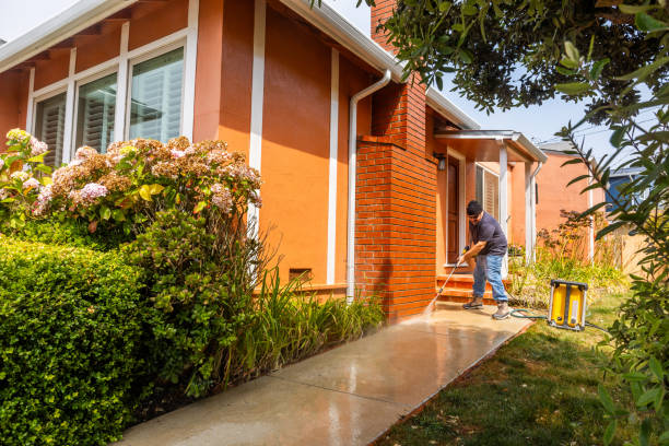 Best Local Pressure Washing Services  in Long Creek, IL